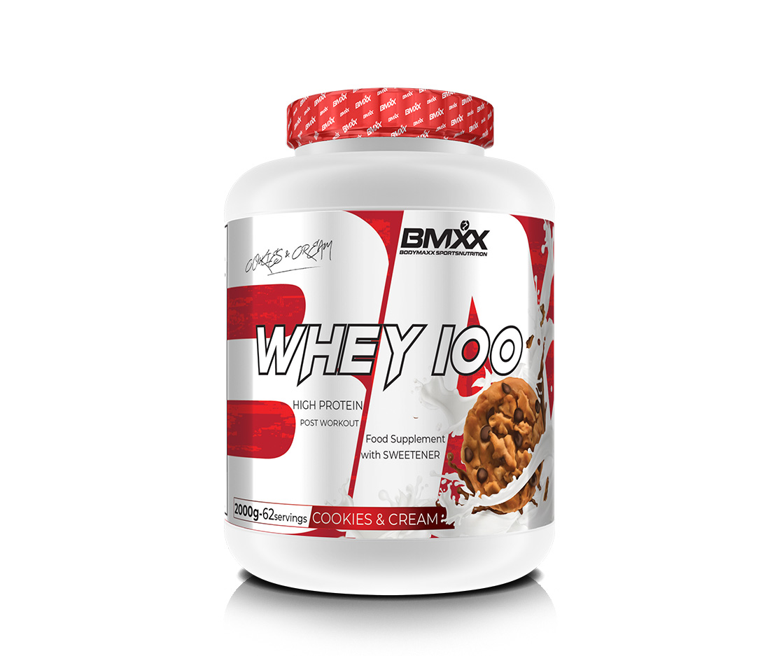 WHEY 100 - ULTRAFILTERED WHEY PROTEIN