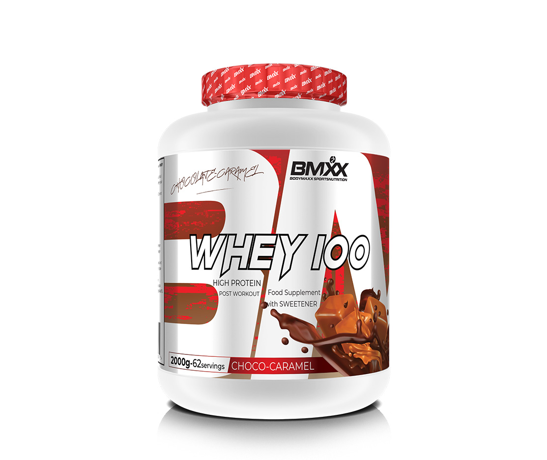 WHEY 100 - ULTRAFILTERED WHEY PROTEIN
